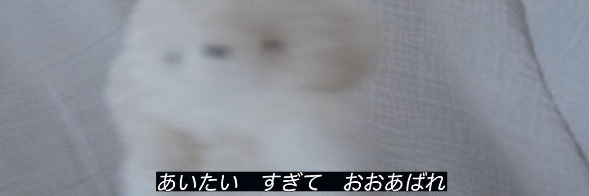 難波ゆの（18）'s banner