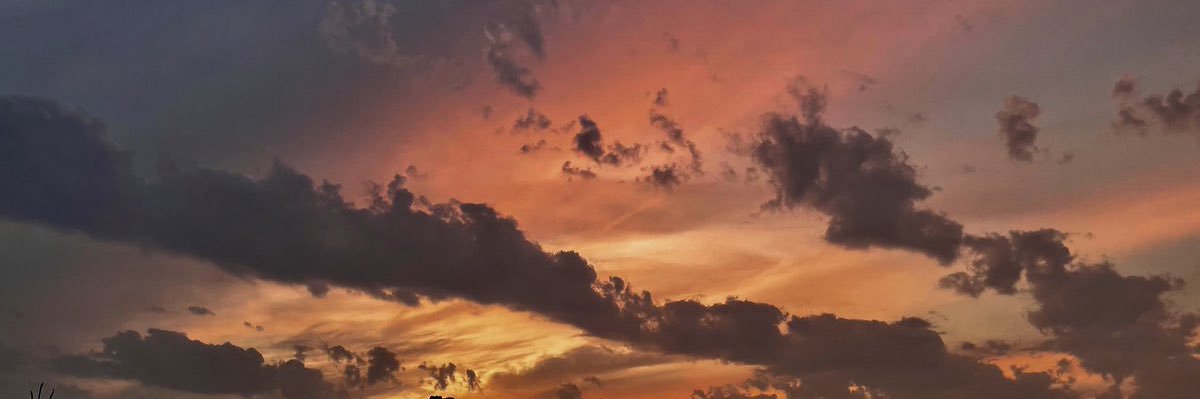 adekkk⋆｡˚⋆❀🫧's banner