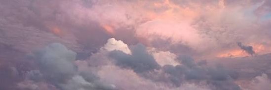 Camilla Araujo's banner