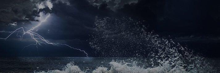 🌷's banner