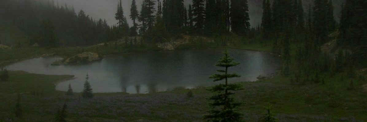 freaky archives's banner