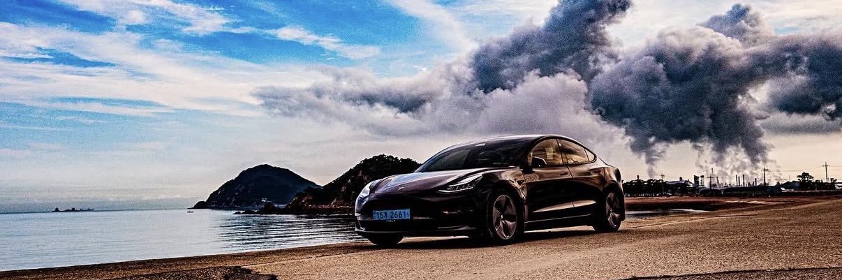 teslachoi테초이's banner