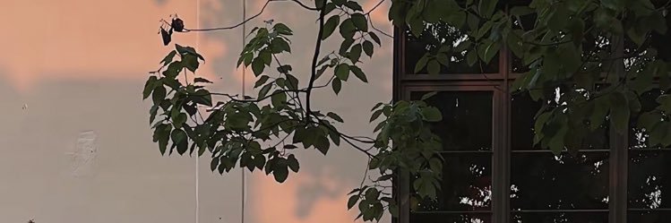 绵绵冰小羊's banner