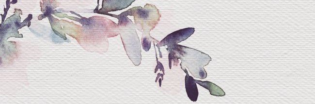 قلموی مطرود's banner
