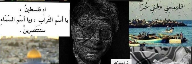 Malak From Gaza 🍉's banner