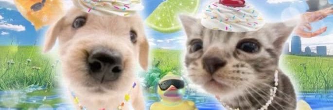 presly ⭑.ᐟ's banner
