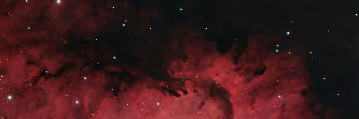 vin⋆˚꩜'s banner