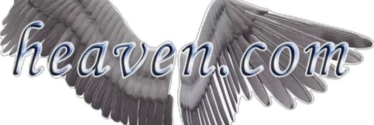andy frango elétrico's banner