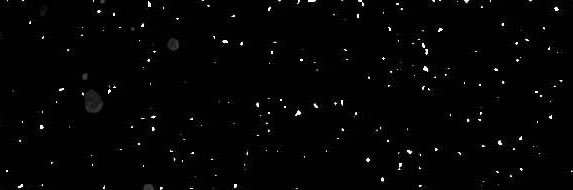Juels's banner