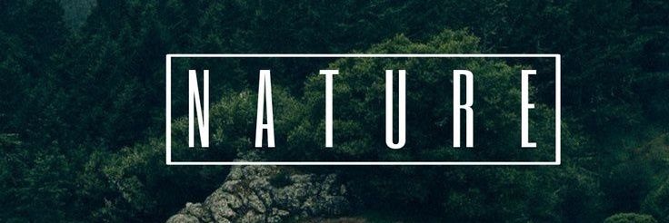 N A T U R E's banner