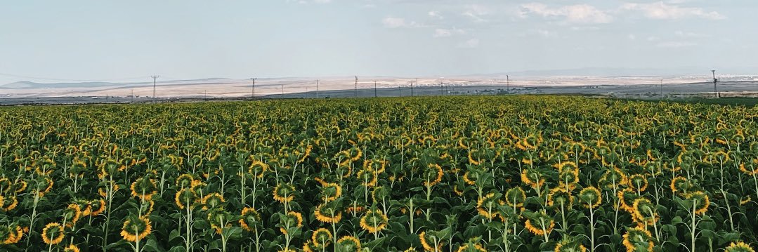 Rewendi's banner