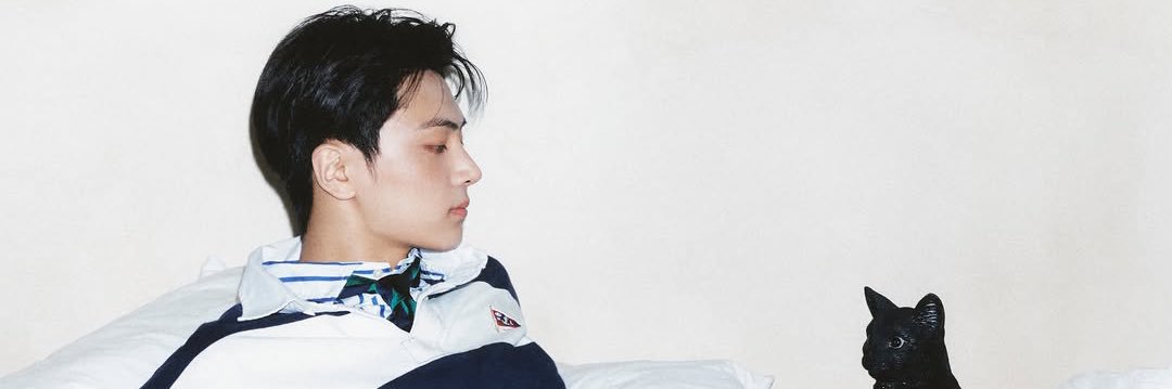 fav's banner
