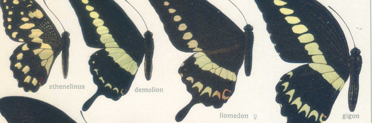 𝕁𝕁's banner