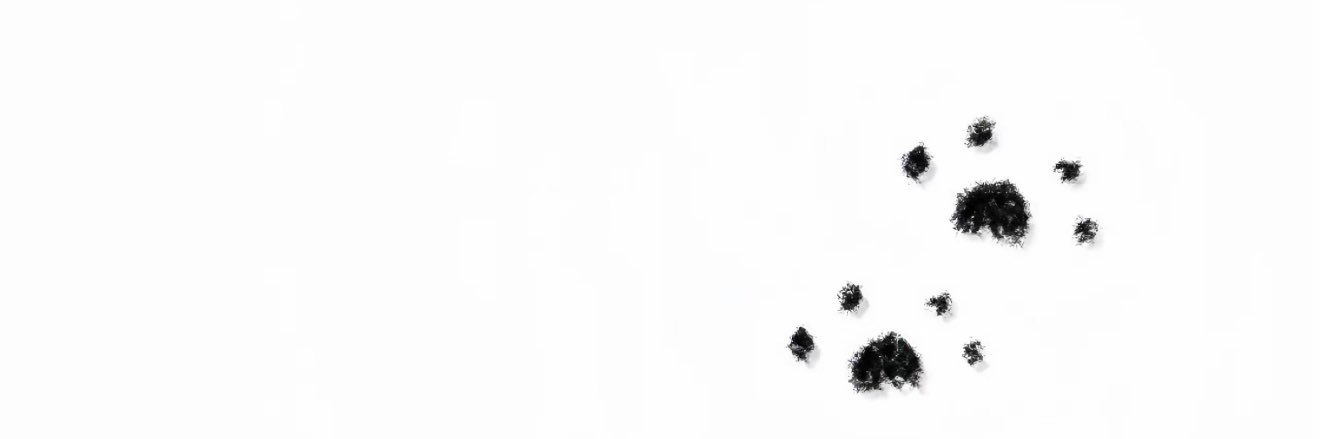 粥粥_ovo（6w粉丝号已被盗 不要被骗's banner