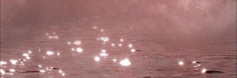 emmie_asian's banner