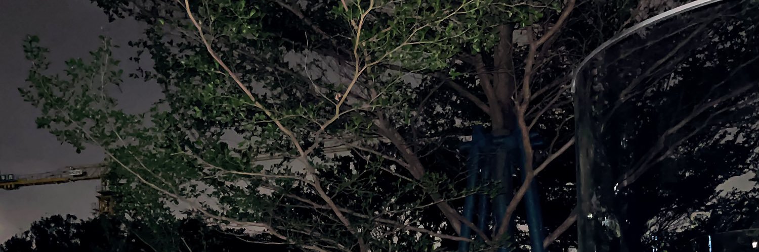 銘老师（原创）'s banner