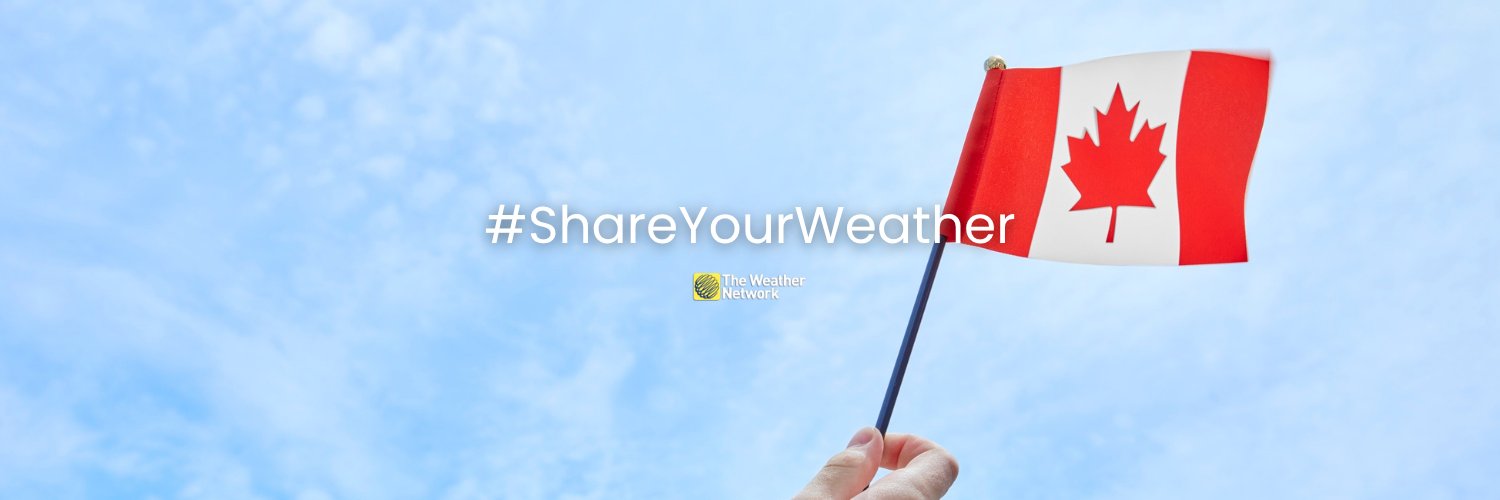 The Weather Network's banner