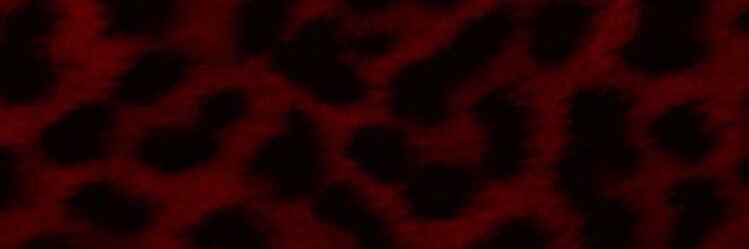 fan account's banner
