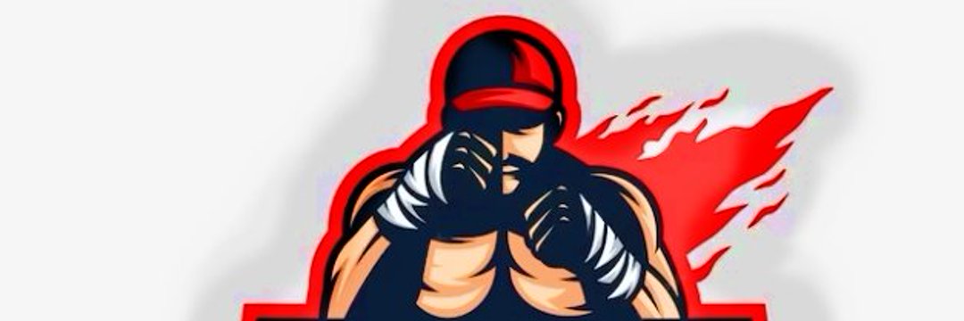 Fights Bro's banner