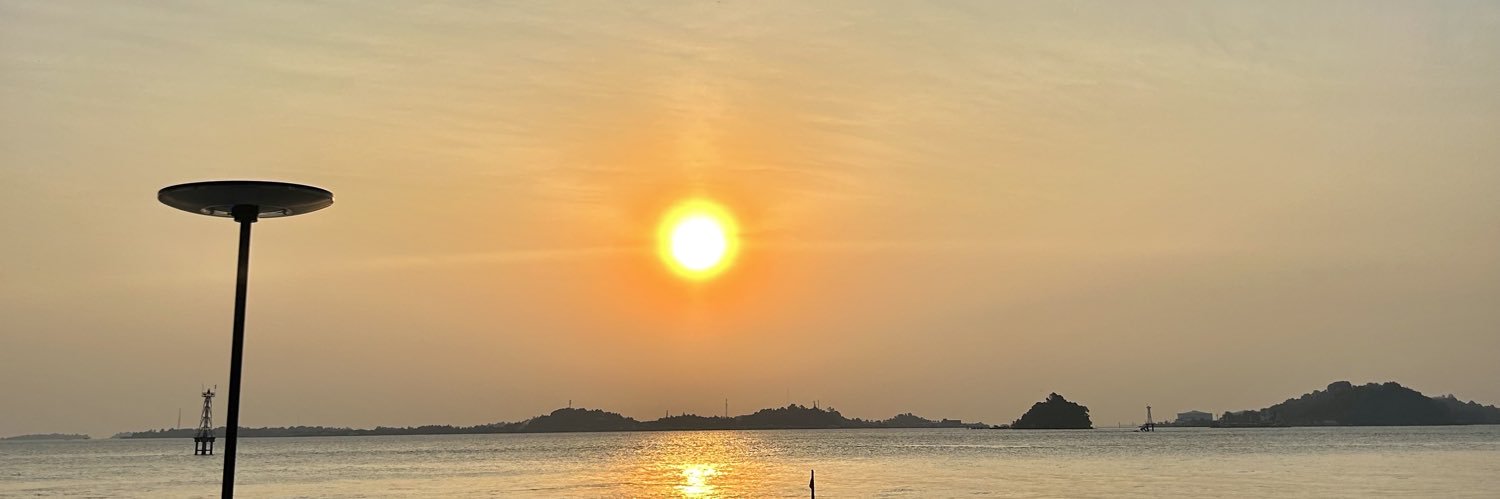 🌻's banner