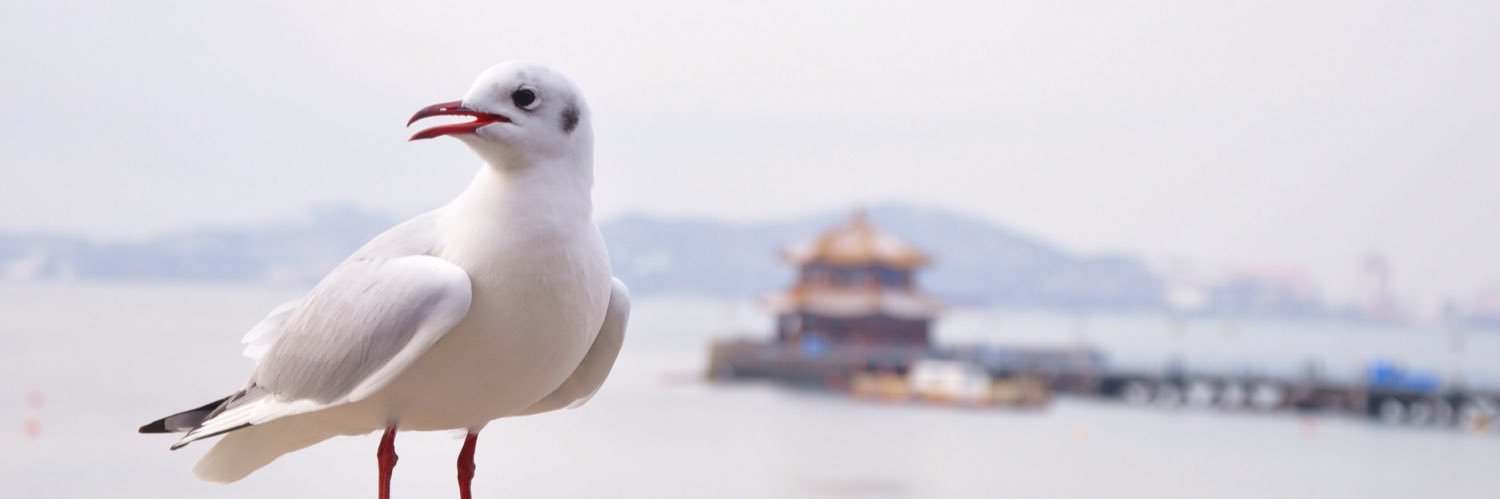 快乐的锅贴's banner