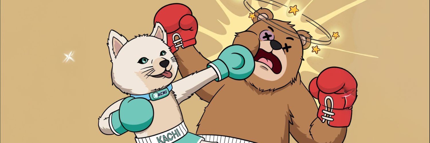 Kachi's banner