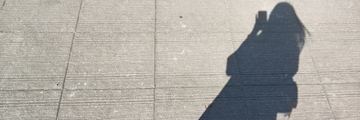 嘻踢誒嘍(*`н´*)'s banner