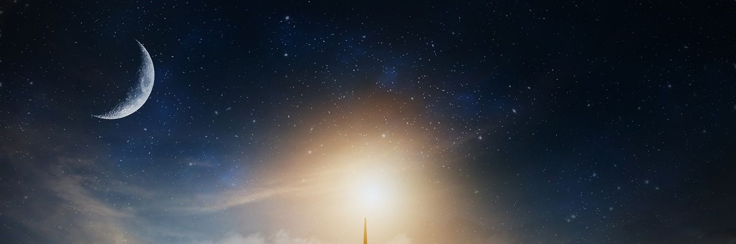 نتالي's banner