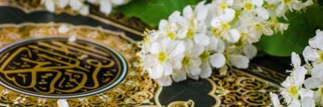 أبو العز الشاحذي ( حساب بديل )'s banner