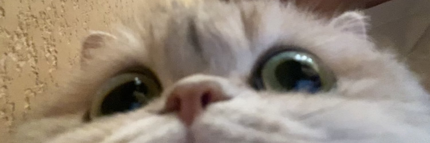Дашка Дарьюшка Дашуха's banner