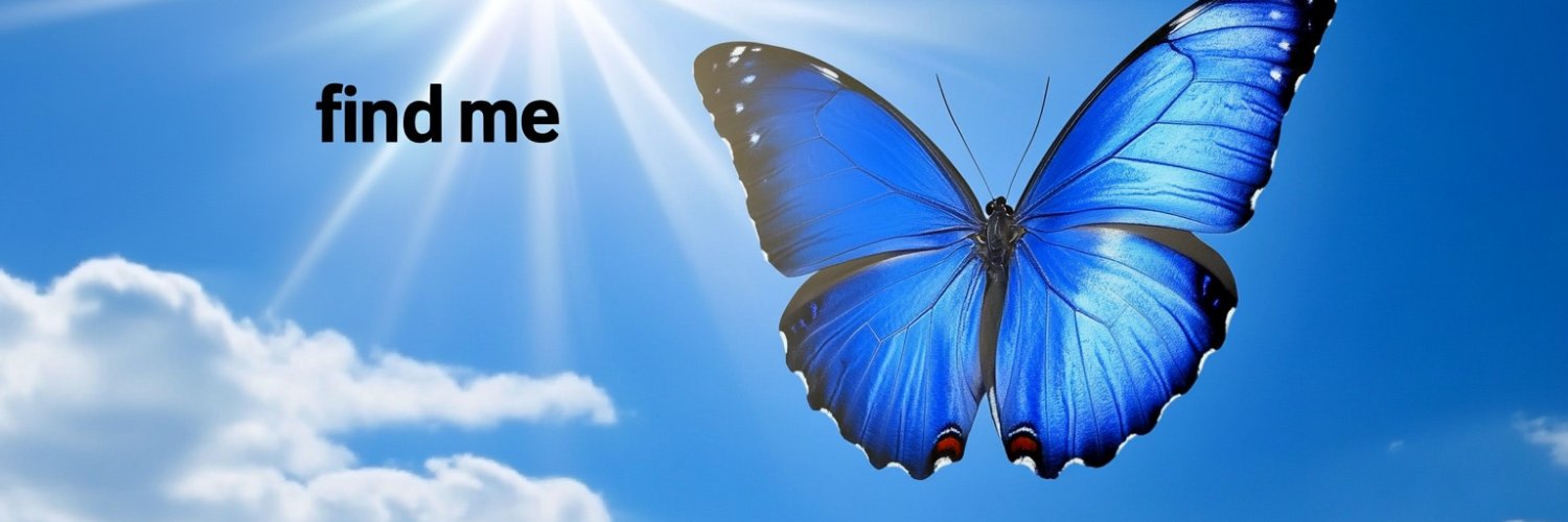 🦋 Where's Jamie? 🦋's banner