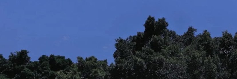 杨新's banner