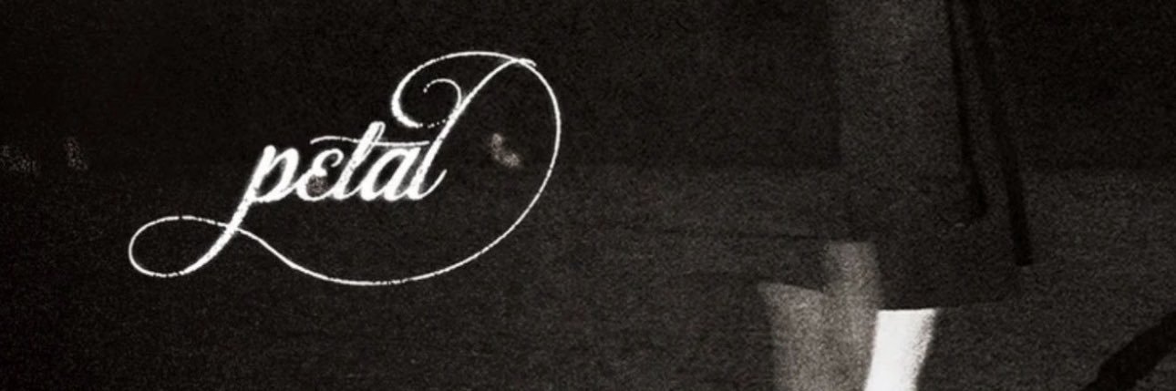s ꕤ's banner