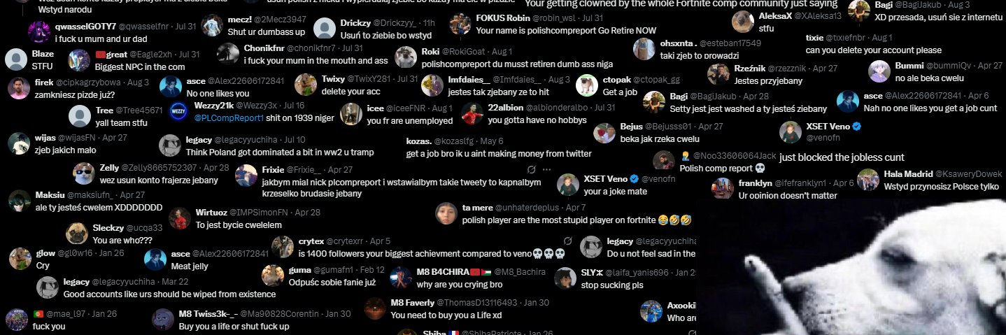 PLCR 🇵🇱🦅's banner