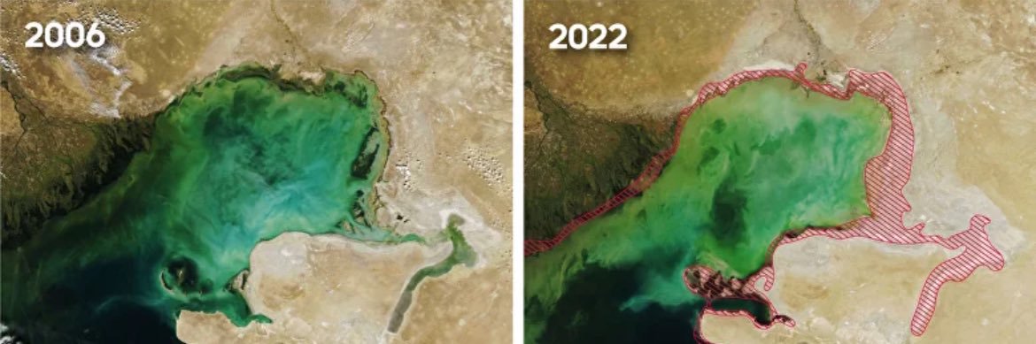 Save The Caspian Sea's banner