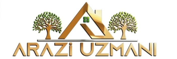 Banu Öztekin's banner