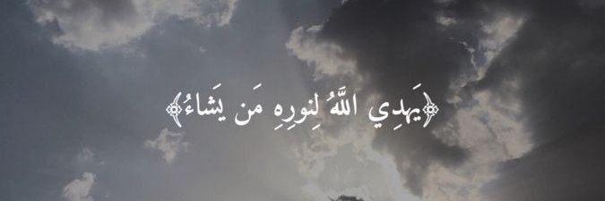 بتول الديلمي's banner