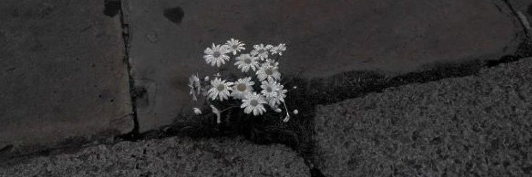 🥀's banner