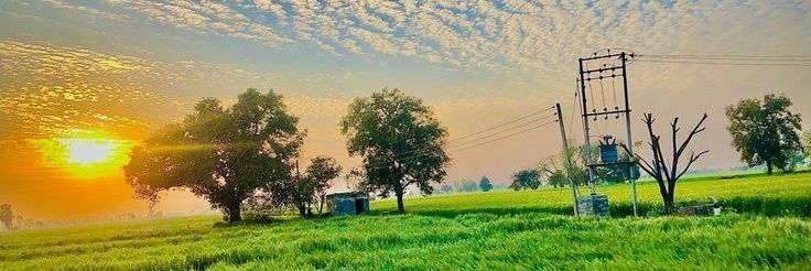 ♥️इश्क़ विश्क़🌻's banner