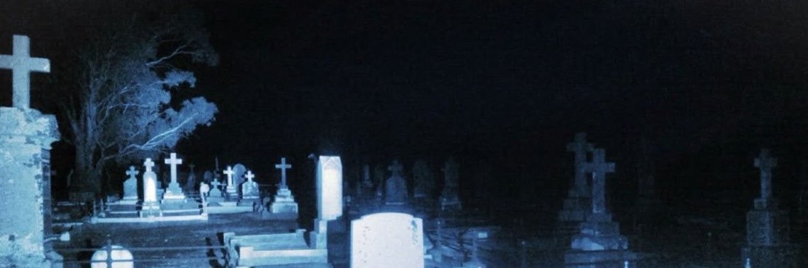 ⟢emi 🦇's banner