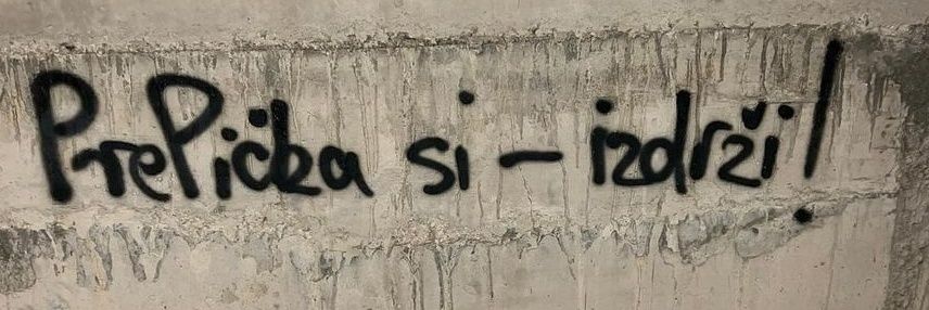 Iskusna početnica's banner