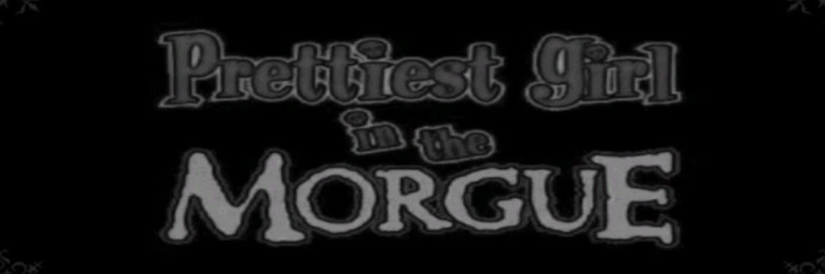𝕮𝖊𝖗𝖆 ཐི⋆♱⋆ཋྀ's banner