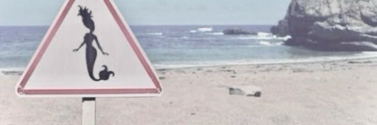 𝑺⭑rena's banner
