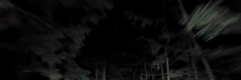 ¼'s banner