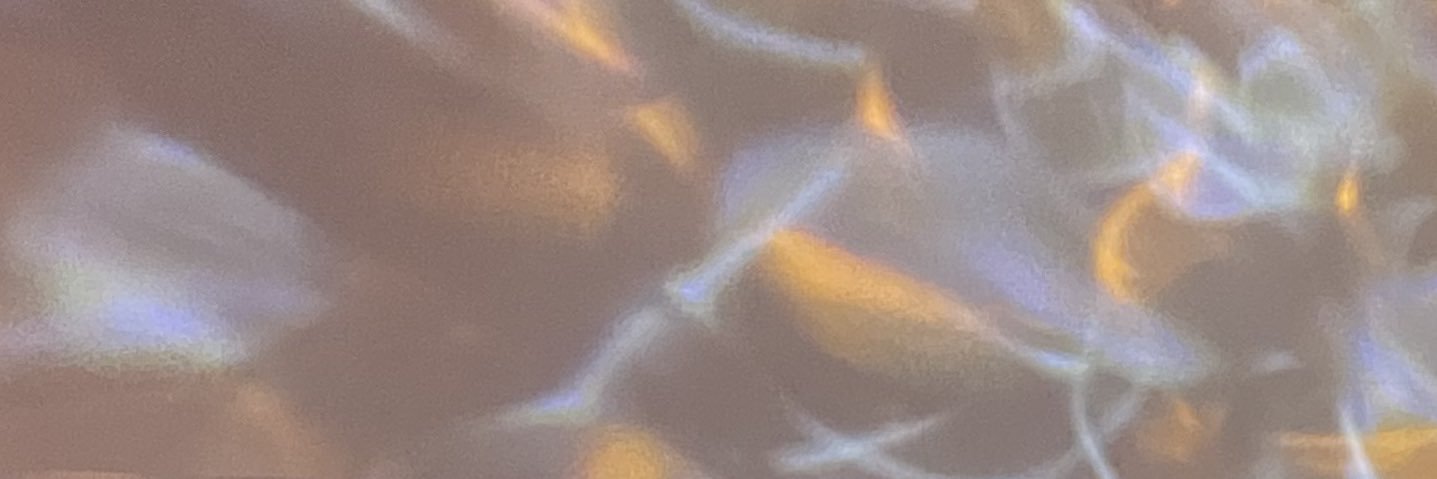 Carrot🥕's banner