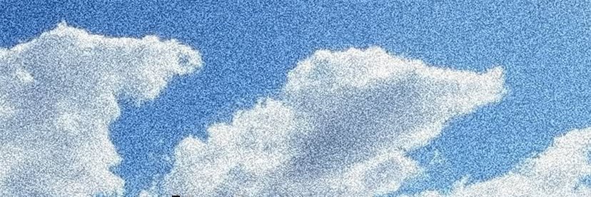 Rose 🥀's banner