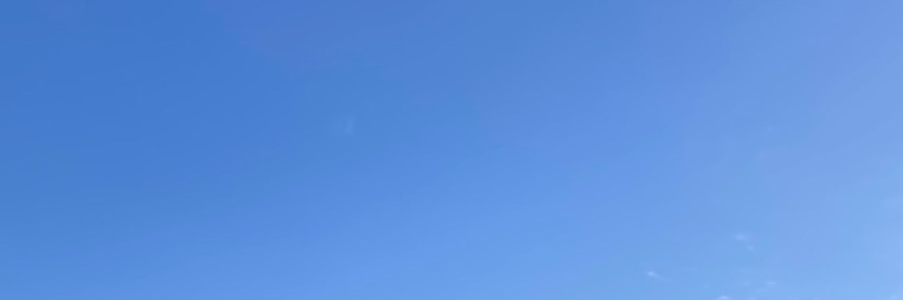 Тыхухоль's banner