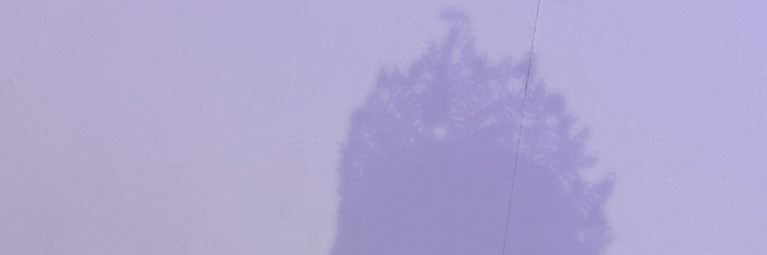 Meena Suchita's banner