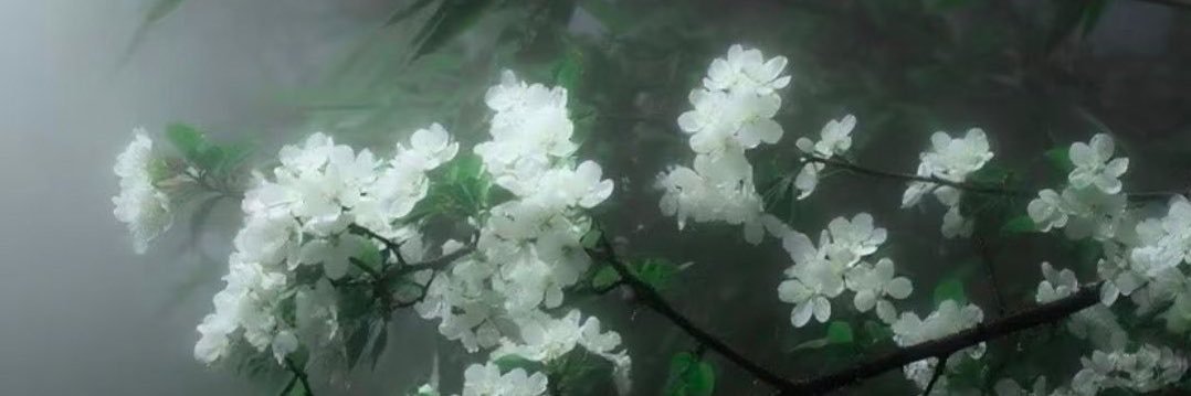归零's banner