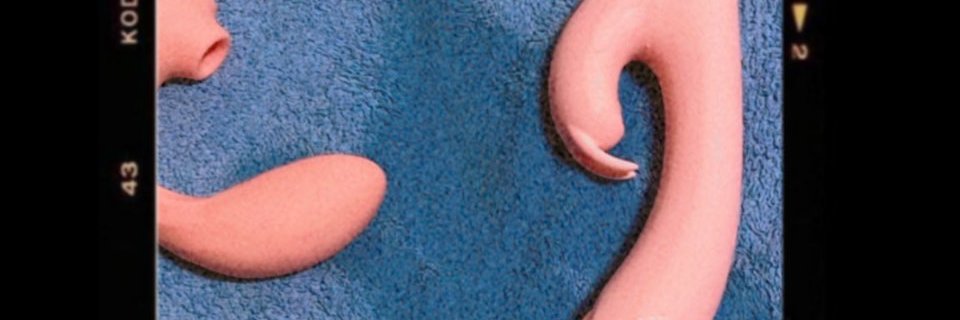 Ella🥵(單女)'s banner